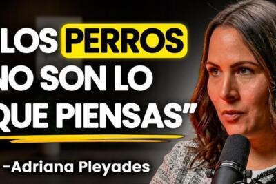 Los Perros no Son Mascotas Comunes: la Señal Espiritual que Nadie te Explicó