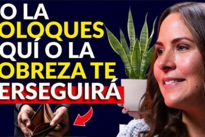 Nunca pongas la Lengua de Suegra aquí: el error que puede bloquear tu abundancia